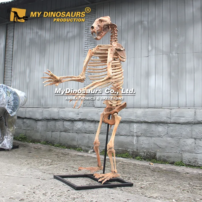 Prehistoric Fossil Replica Cave Bear Skeleton for Sale