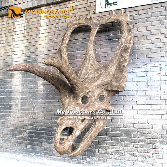 DS-267 Life-size Coahuilaceratops Skull Replica for Sale 4 Life-size Coahuilaceratops Skull Replica for Sale