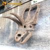 Life-size Coahuilaceratops Skull Replica for Sale