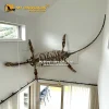 Wall Decoration Plesiosaur Skeleton