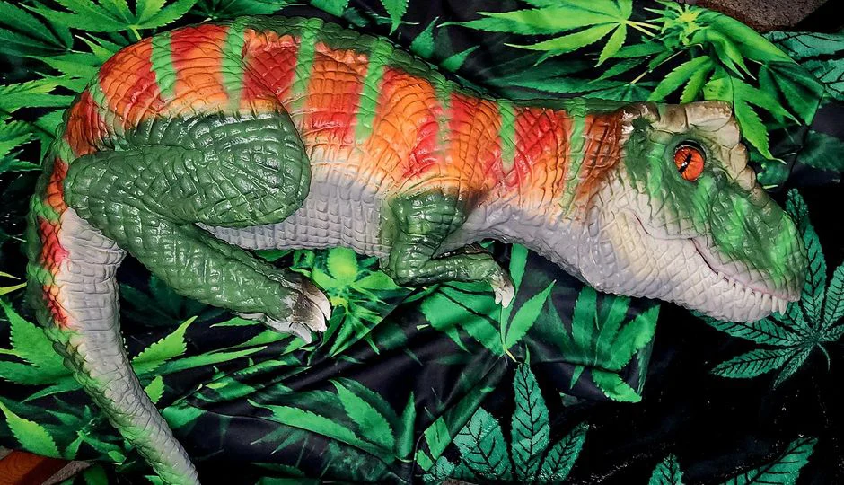 Dinosaur Puppets 67 bright green t rex hand puppet