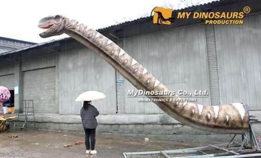 6M Brachiosaurus Head Animatronic