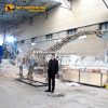 Alamosaurus Skeleton Jurassic design display