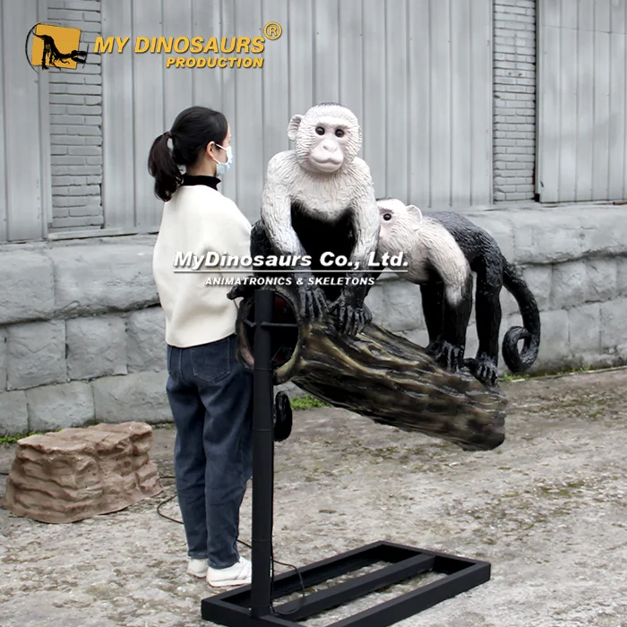 AA-192 Life-size Animatronic Monkey Colombian White-faced Capuchin 4 Animatronic Colombian white faced capuchin 1