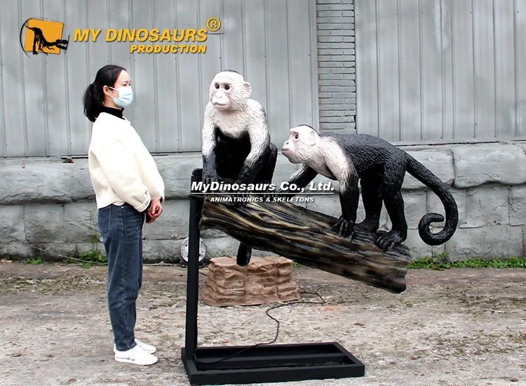 AA-192 Life-size Animatronic Monkey Colombian White-faced Capuchin 5 Animatronic Colombian white faced capuchin