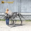 Full Triceratops Skeleton 3m museum replica