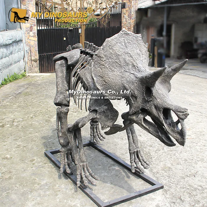 DS-278 Full Triceratops Skeleton Replica for Halloween 3 Full Triceratops Skeleton 3m museum replica