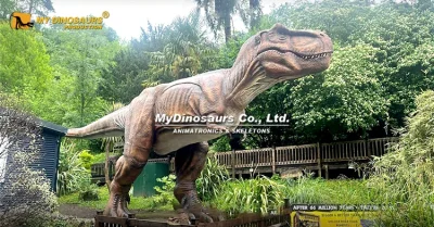 15m Giant T rex Animatronic 5