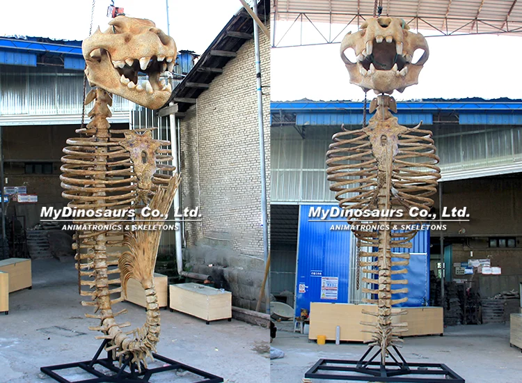 6m Merlion Skeleton Merlion fossil replica