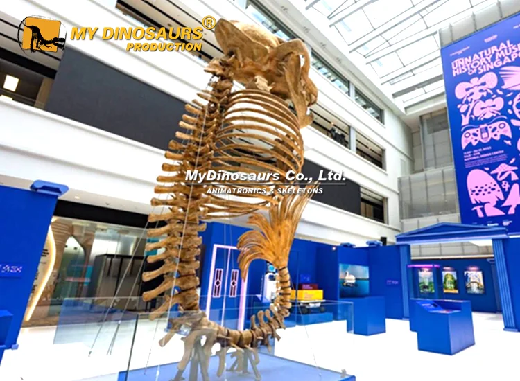 Merlion Skeleton 6m Merlion fossil replica