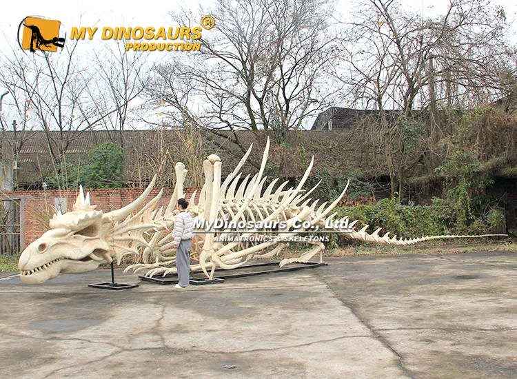 Custom Made Giant Dragon Skeleton for Sale