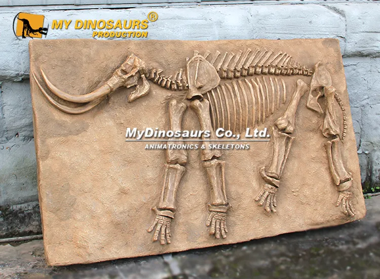 Mammoth Fossil on plate wall decor