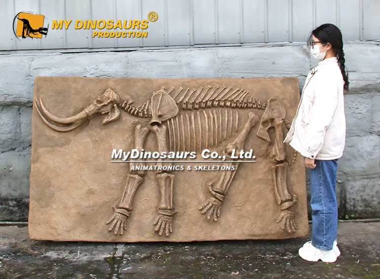 Mammoth Fossil on plate wall decor