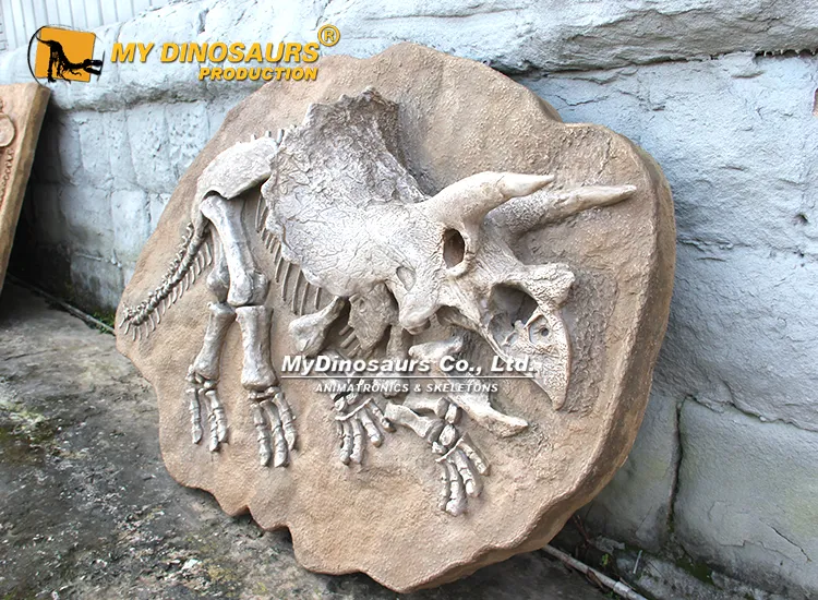 Triceratops Fossil cast on plate 200cm
