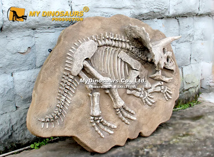 Triceratops Fossil cast on plate 200cm