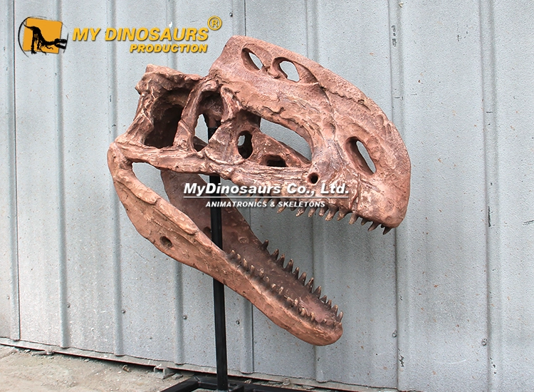 Life-size Monolophosaurus skull for sale