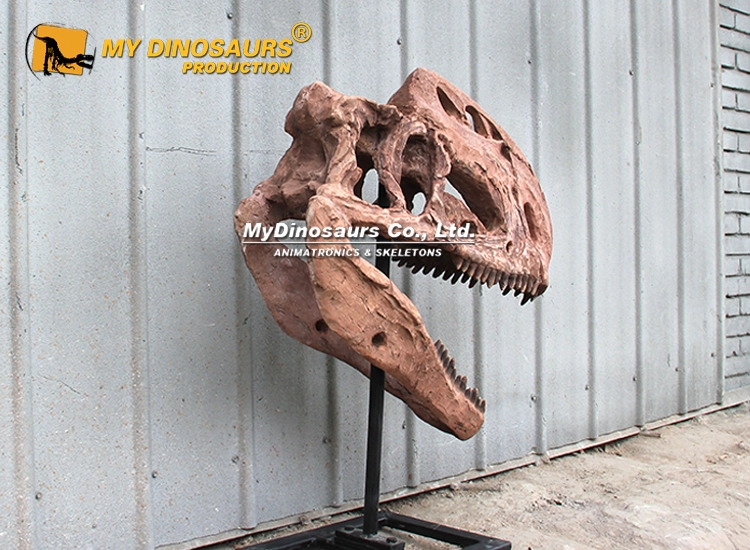 DS-290 Life-size Monolophosaurus Skull 4 Life-size Monolophosaurus skull for sale