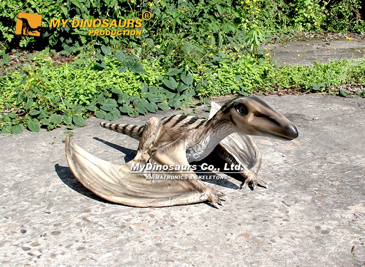 Small Pterosaur Sordes Statue for sale