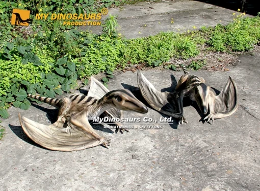Small Pterosaur Sordes Statue for sale