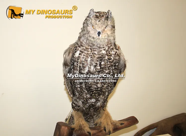 50cm life size realistic animatronic owl model with realistic feathers