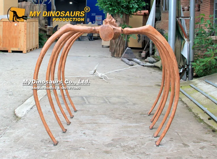 Custom Dinosaur Skeleton Tunnel decoration for sale