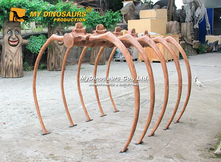Custom Dinosaur Skeleton Tunnel decoration for sale