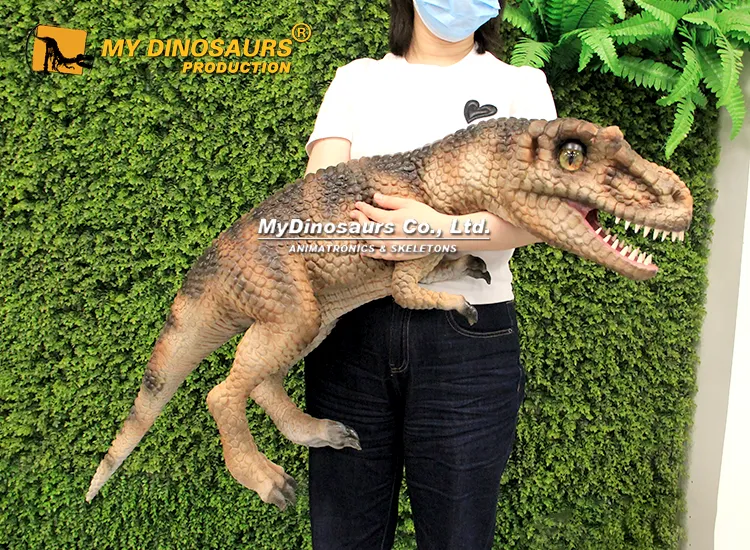 Realistic Albertosaurus Puppet for Sale