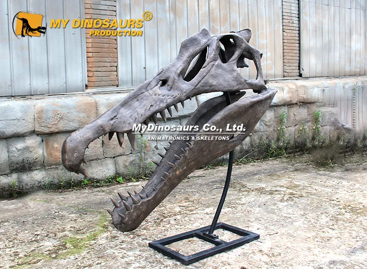 Life-sized Spinosaurus skull for sale