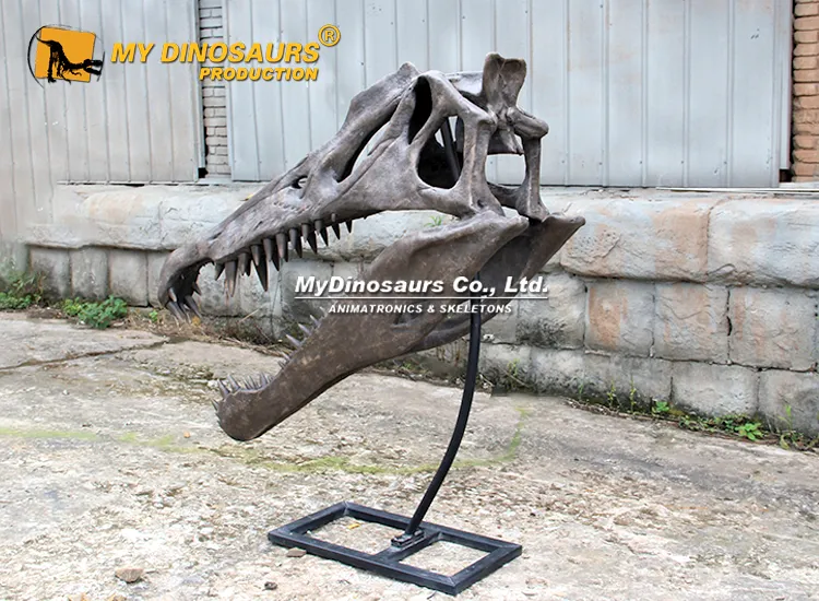 Life-sized Spinosaurus skull for sale