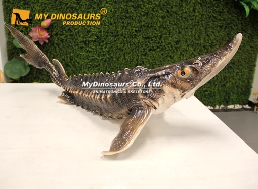 Starry Sturgeon Acipenser Stellatus Statue for Sale